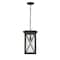 Z-Lite Brookside 1 Light Outdoor Chain Mount Ceiling Fixture, Black And Clear Seedy 583CHB-BK - alternate 6